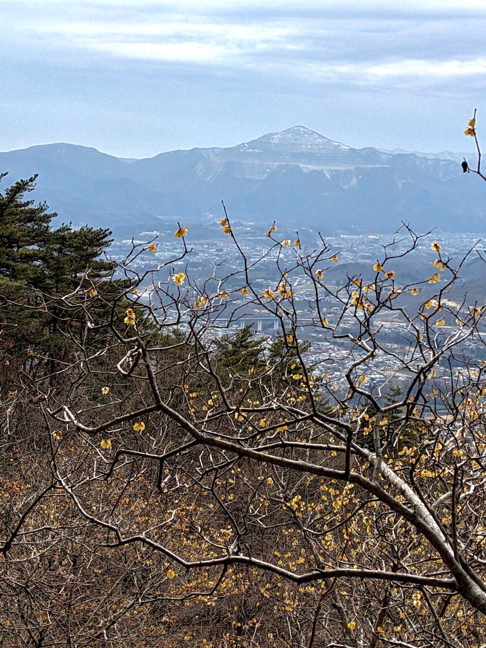 ブルー系のシャツ/ブラウス、ブラック系のパンツ、ブラック系のスニーカーを着用したメンズの春コーディネートの5枚目の写真