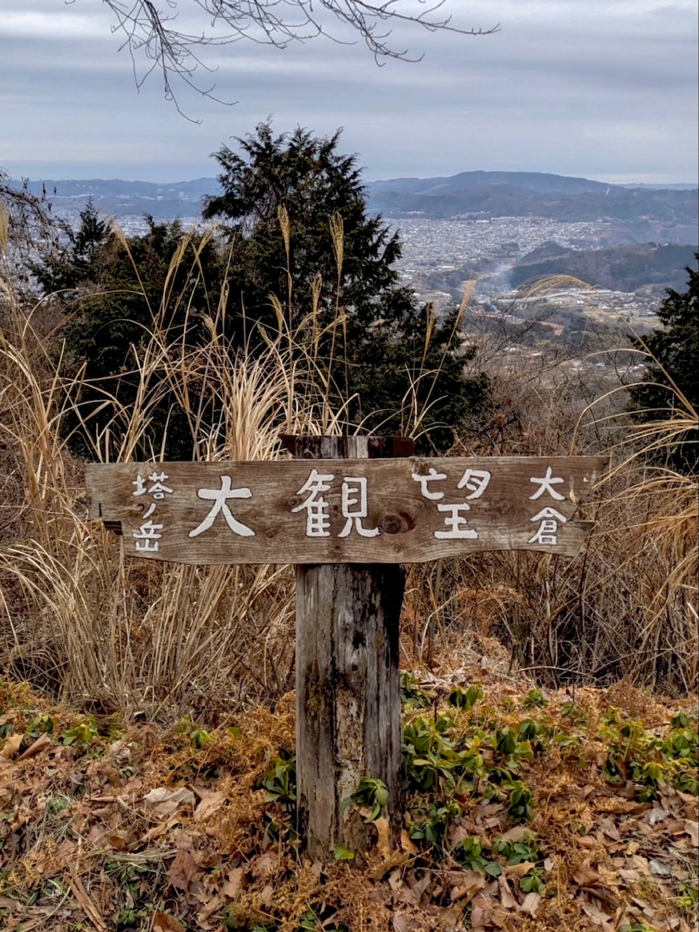 グリーン系のマウンテンパーカー、ブラック系のパンツ、ブラウン系のブーツを着用したメンズの冬コーディネートの2枚目の写真