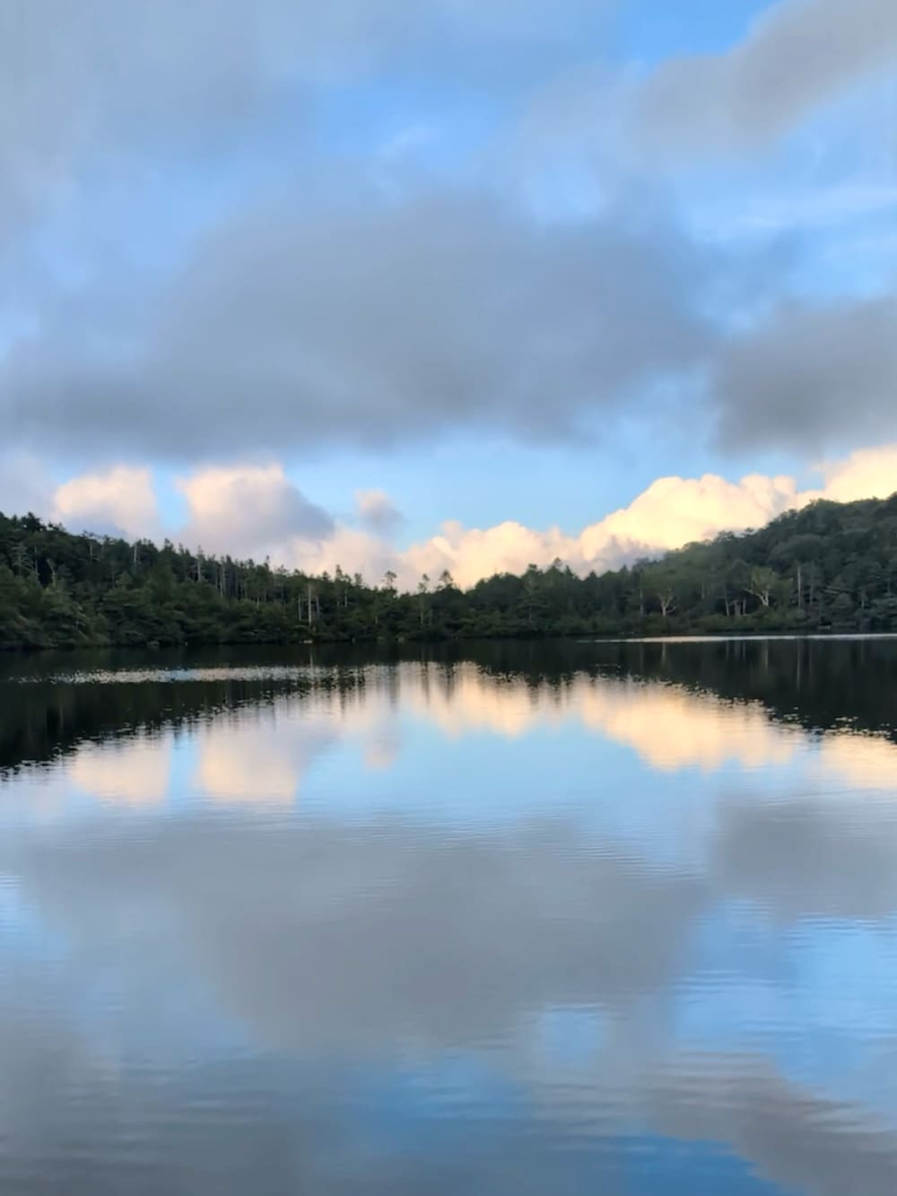 ブラック系のシャツ/ブラウス、グレー系のその他パンツ、レッド系のスニーカーを着用したメンズの夏コーディネートの5枚目の写真