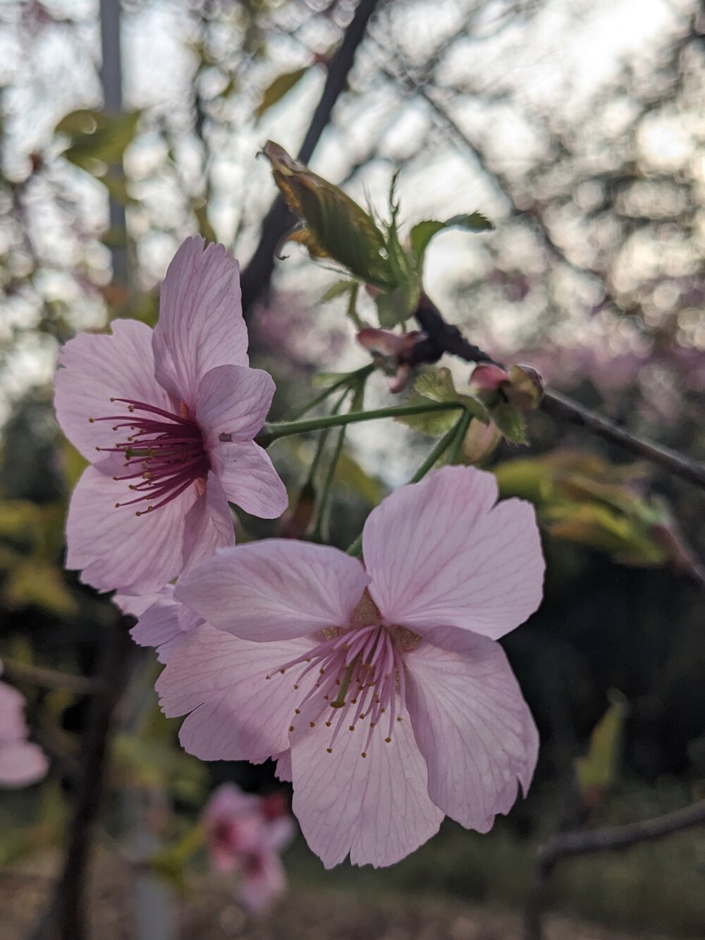 グリーン系のジャケット/アウター、グレー系のTシャツ/カットソー、ブラック系のデニムパンツを着用したメンズの春コーディネートの2枚目の写真