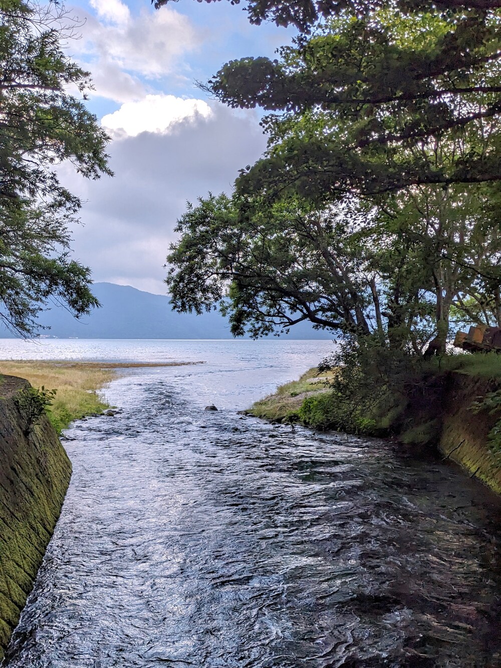 ベージュ系のTシャツ/カットソー、ベージュ系のその他パンツ、ブラック系のスニーカーを着用したメンズの夏コーディネートの3枚目の写真