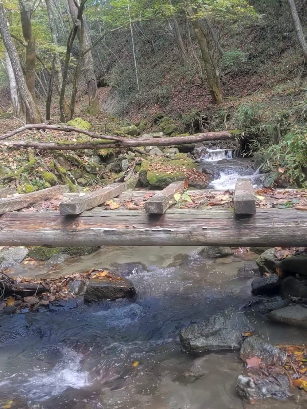 グレー系のその他パンツ、グリーン系のシャツ/ブラウス、ホワイト系のバックパック/リュックを着用したメンズの秋コーディネートの2枚目の写真