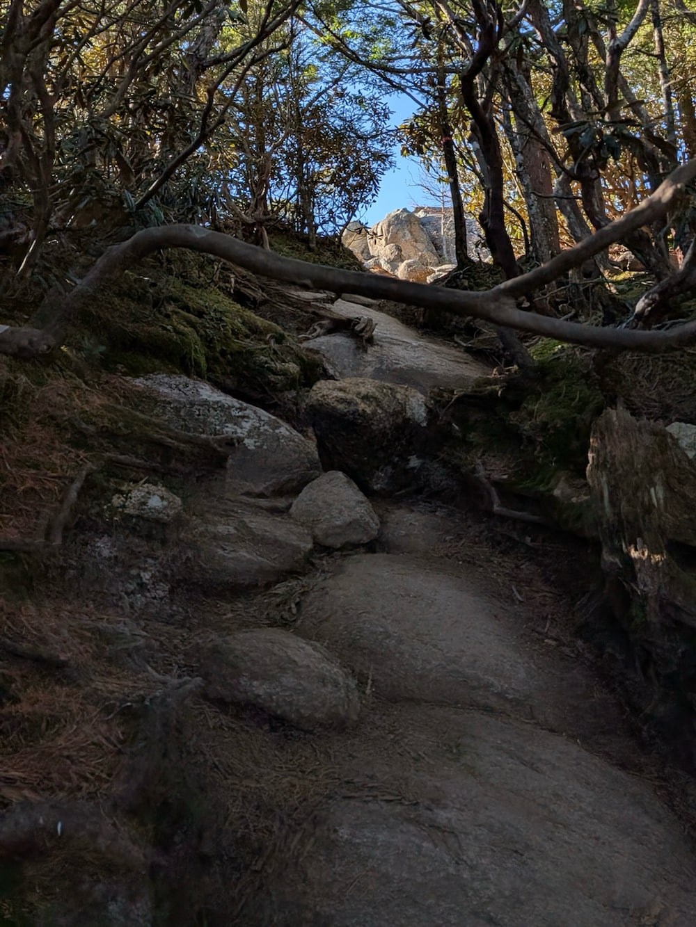 グレー系のマウンテンパーカー、ブルー系のパンツ、ホワイト系のバックパック/リュックを着用したメンズの秋コーディネートの4枚目の写真