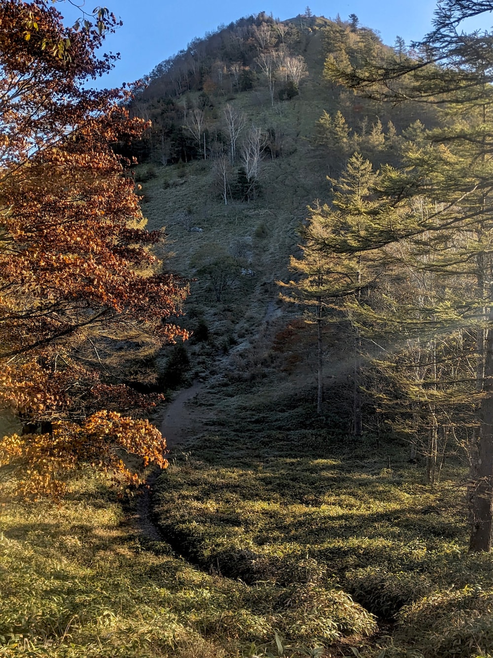 グリーン系のシャツ/ブラウス、ブラウン系のパンツ、ブラック系のスニーカーを着用したメンズの秋コーディネートの4枚目の写真