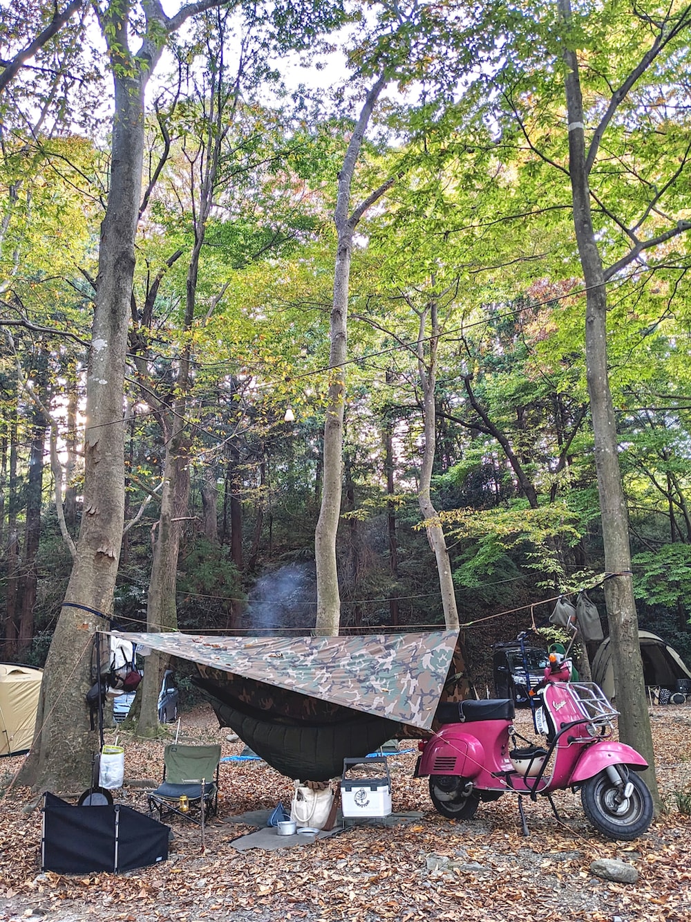 レッド系のダウンベスト、ブルー系のスウェットパンツ、グリーン系のその他シューズを着用したメンズの秋コーディネートの2枚目の写真