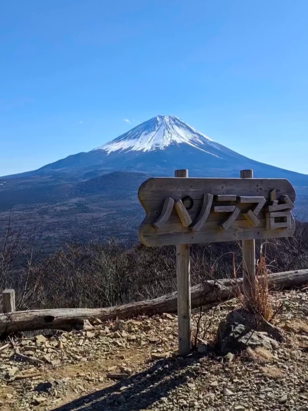 グレー系のその他パンツ、ブラック系のスニーカー、ホワイト系のバックパック/リュックを着用したメンズの冬コーディネートの5枚目の写真