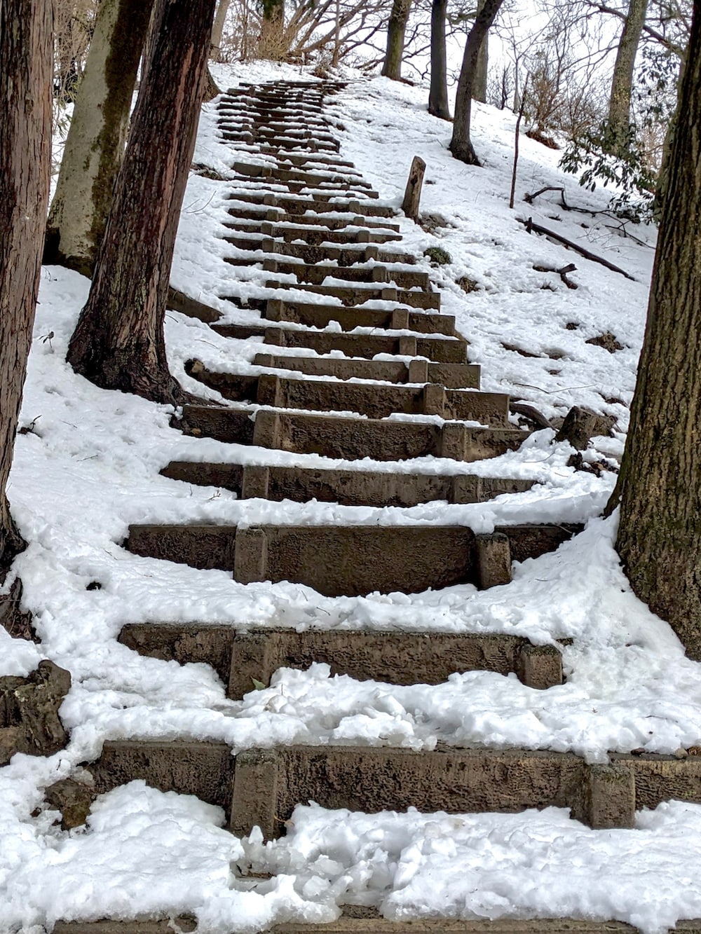 レッド系のマウンテンパーカー、ベージュ系のパンツ、ブラウン系のブーツを着用したメンズの冬コーディネートの2枚目の写真