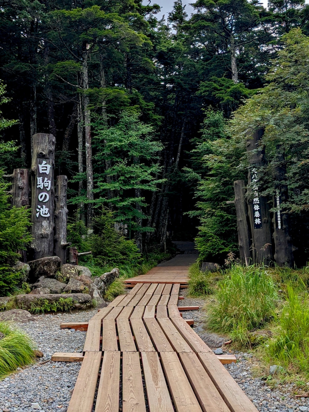 ブラック系のシャツ/ブラウス、グレー系のその他パンツ、レッド系のスニーカーを着用したメンズの夏コーディネートの2枚目の写真