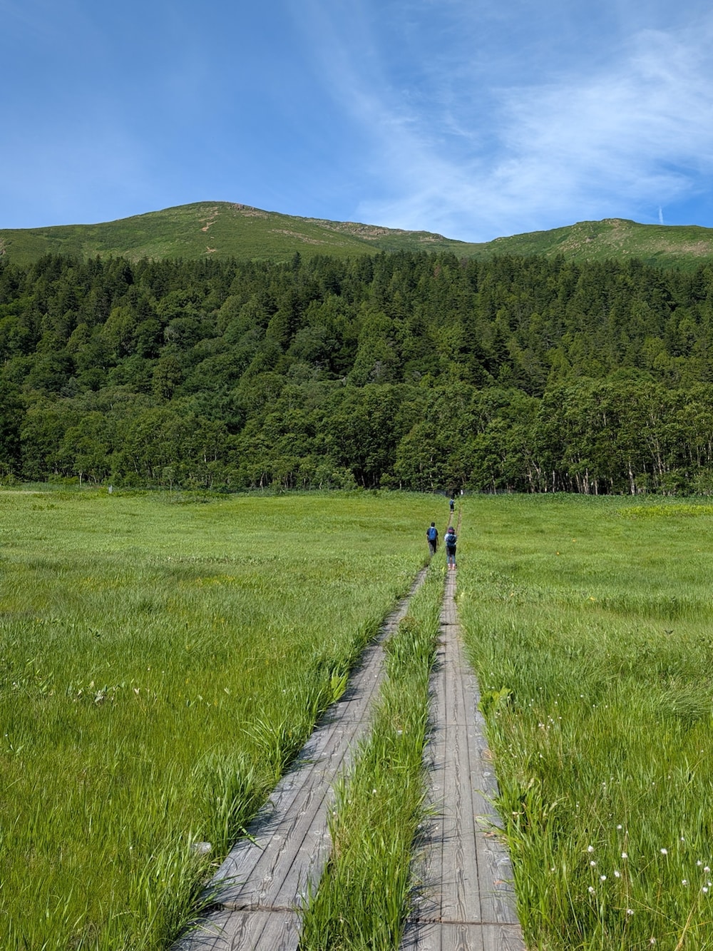 ブラウン系のTシャツ/カットソー、ベージュ系のその他パンツ、ブラウン系のバックパック/リュックを着用したメンズの夏コーディネートの2枚目の写真