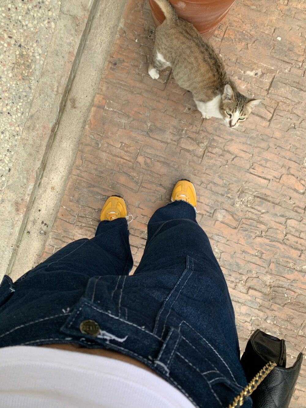 イエロー系のスニーカーを着用したレディースの冬コーディネートの2枚目の写真