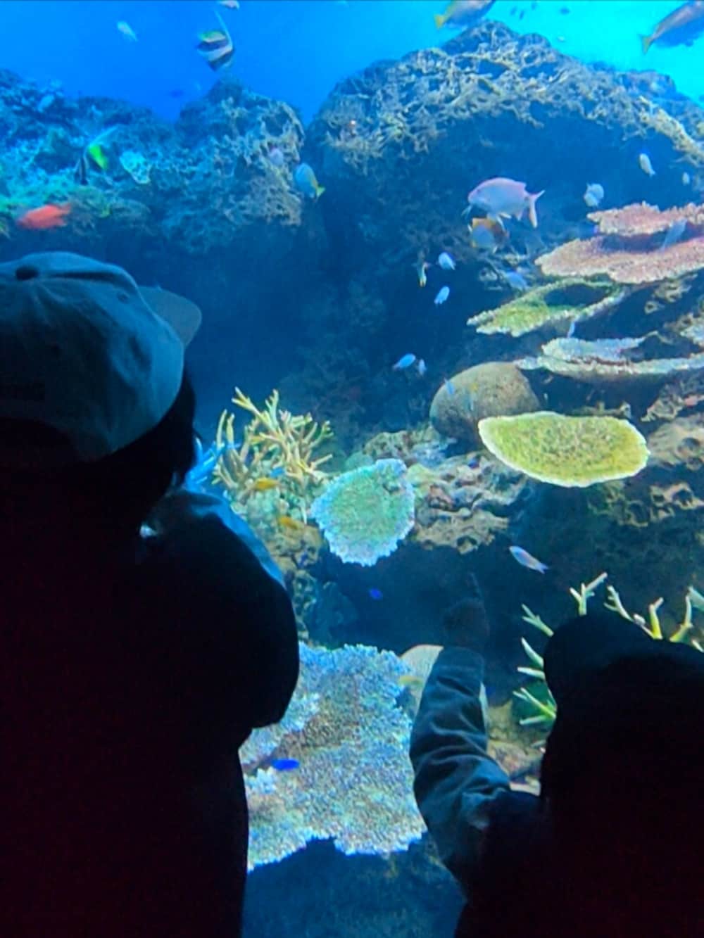 ブラック系のベスト、ベージュ系のシャツ/ブラウス、グレー系のベストを着用したキッズの冬コーディネートの3枚目の写真