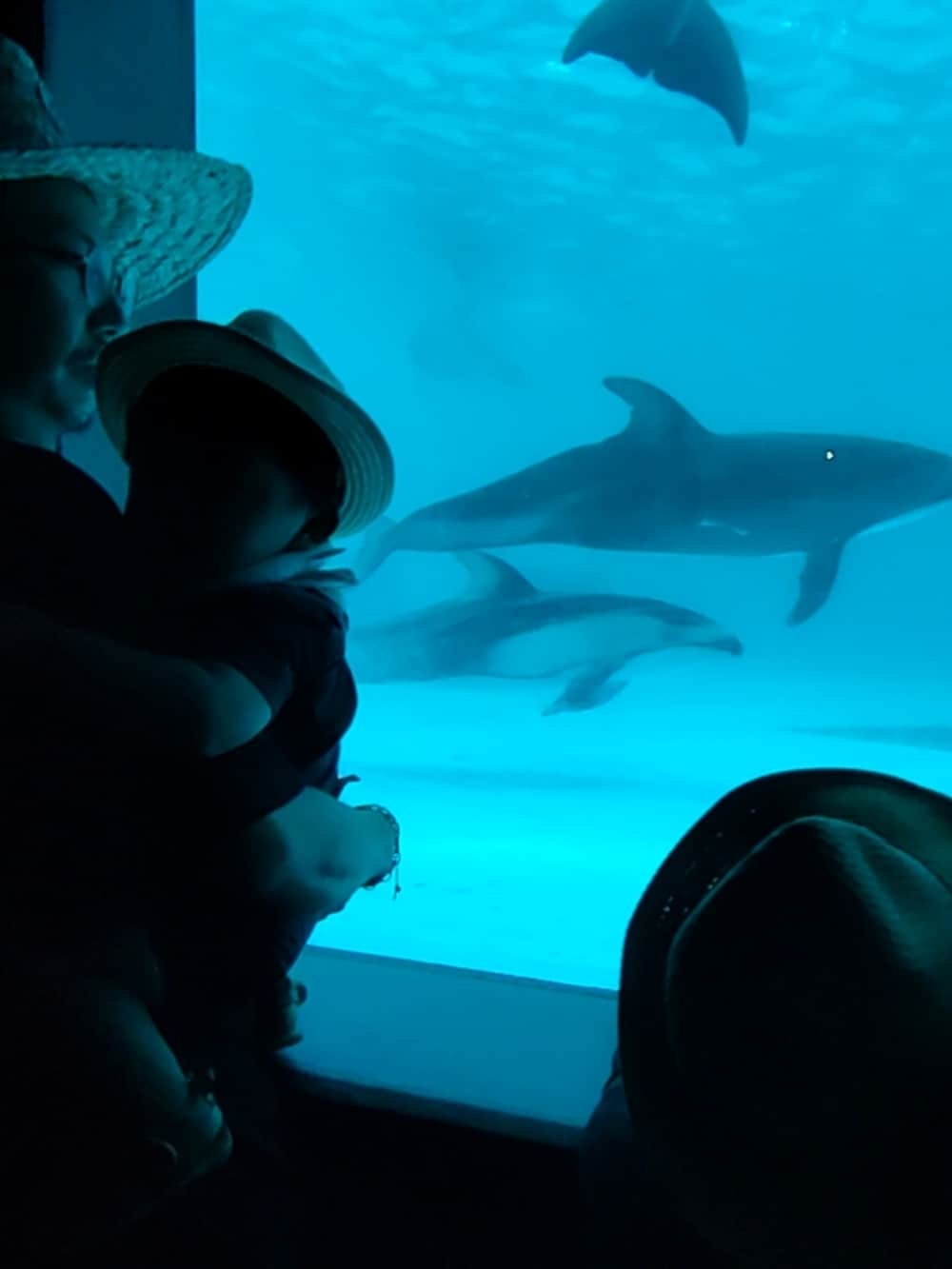 ブラック系のTシャツ/カットソー、ブラック系のパンツ、ブラック系のサンダルを着用したキッズの秋コーディネートの4枚目の写真