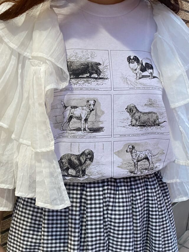 ブラック系のスカート、ホワイト系のその他シューズ、ホワイト系のTシャツ/カットソーを着用したレディースの春コーディネートの6枚目の写真