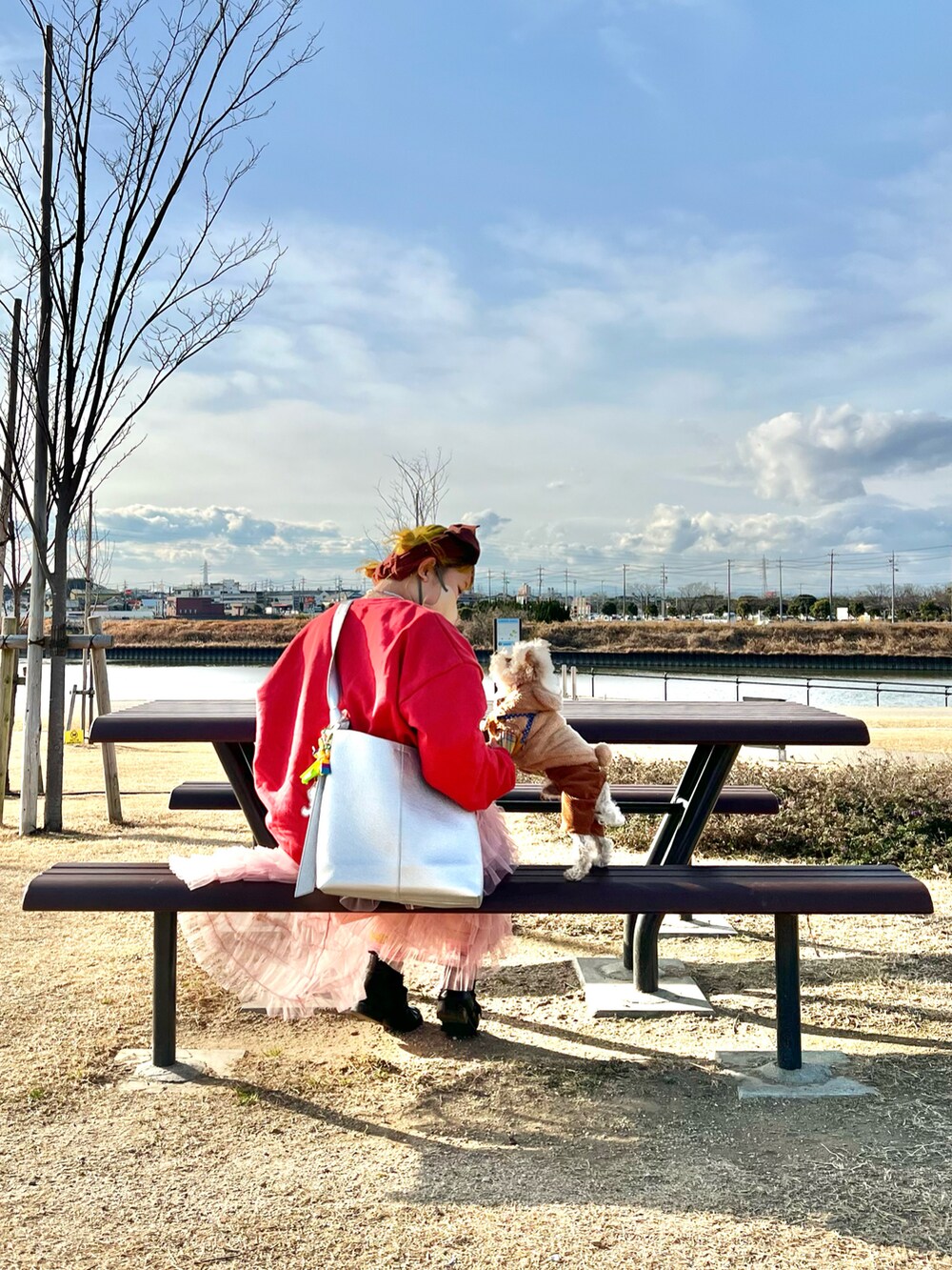 シルバー系のショルダーバッグ、ピンク系のスカート、ブラック系のブーツを着用したレディースの冬コーディネートの2枚目の写真