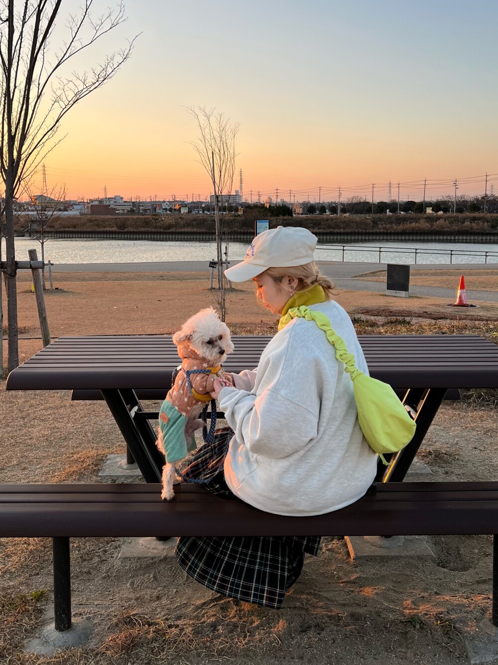 グリーン系のショルダーバッグ、ベージュ系のスウェット、イエロー系のニット/セーターを着用したレディースの冬コーディネートの2枚目の写真