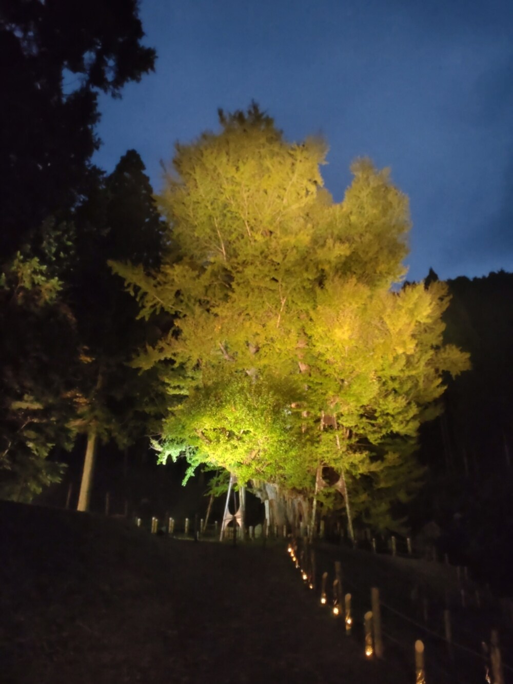 イエロー系のニット/セーター、グレー系のスカートを着用したレディースの秋コーディネートの4枚目の写真