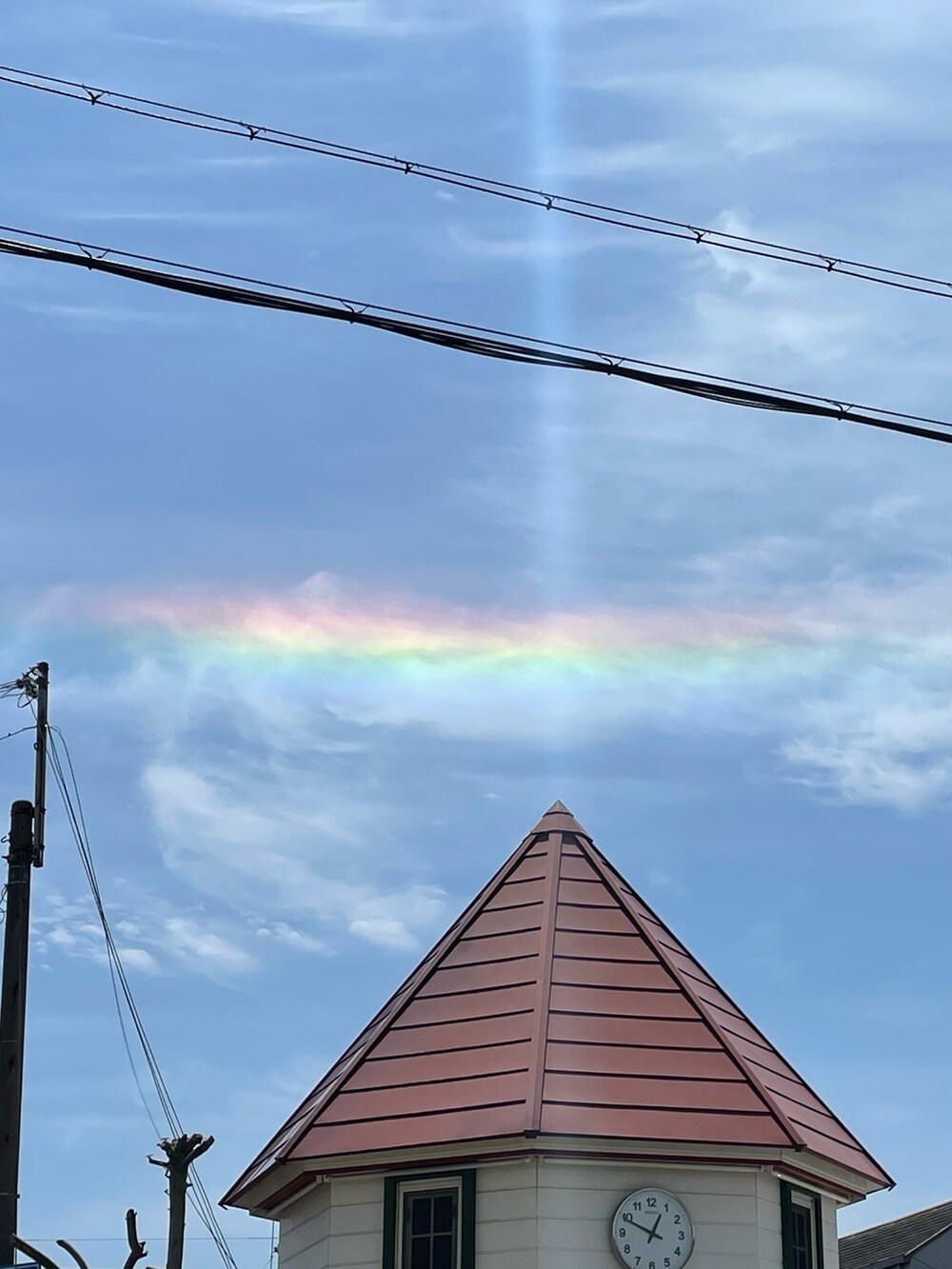 グリーン系のTシャツ/カットソー、グリーン系のその他パンツ、ブラック系のスニーカーを着用したレディースの春コーディネートの4枚目の写真