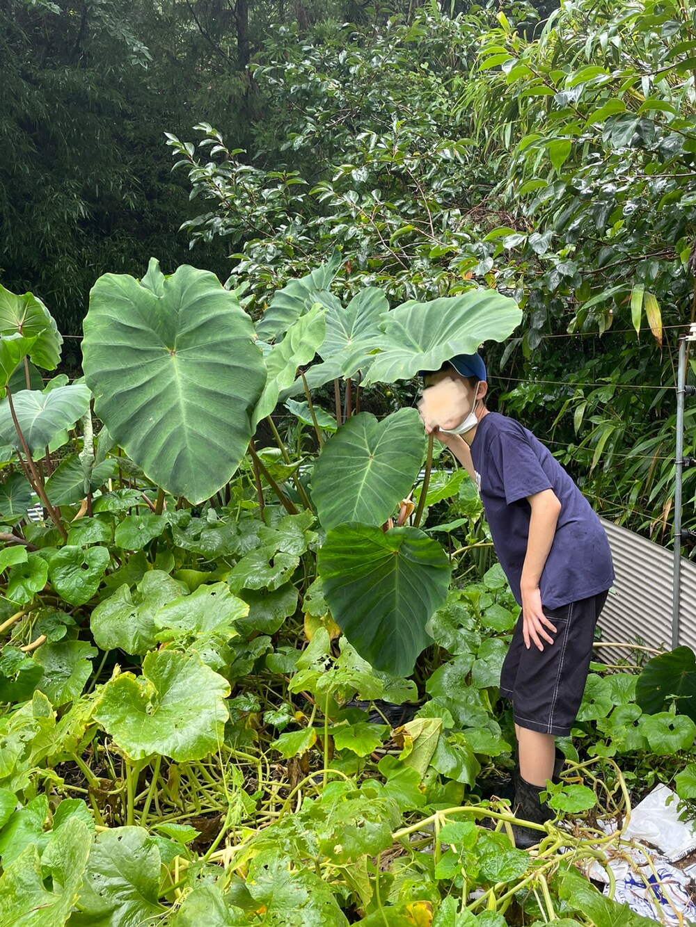 ブラック系のTシャツ/カットソー、グレー系のその他パンツ、ブラック系のサンダルを着用したレディースの夏コーディネートの2枚目の写真