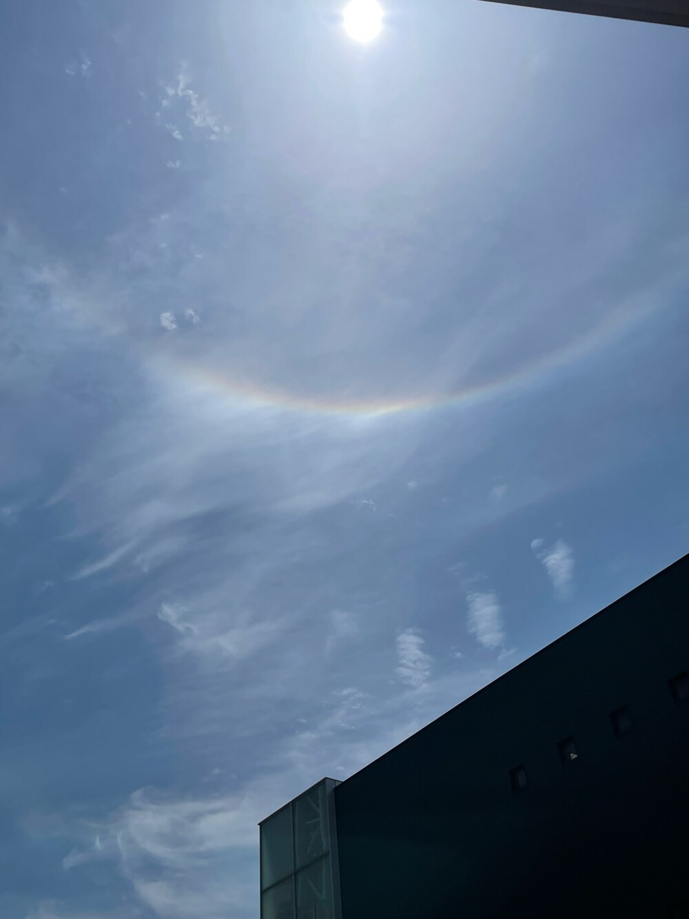 グリーン系のTシャツ/カットソー、グリーン系のその他パンツ、ブラック系のスニーカーを着用したレディースの春コーディネートの5枚目の写真