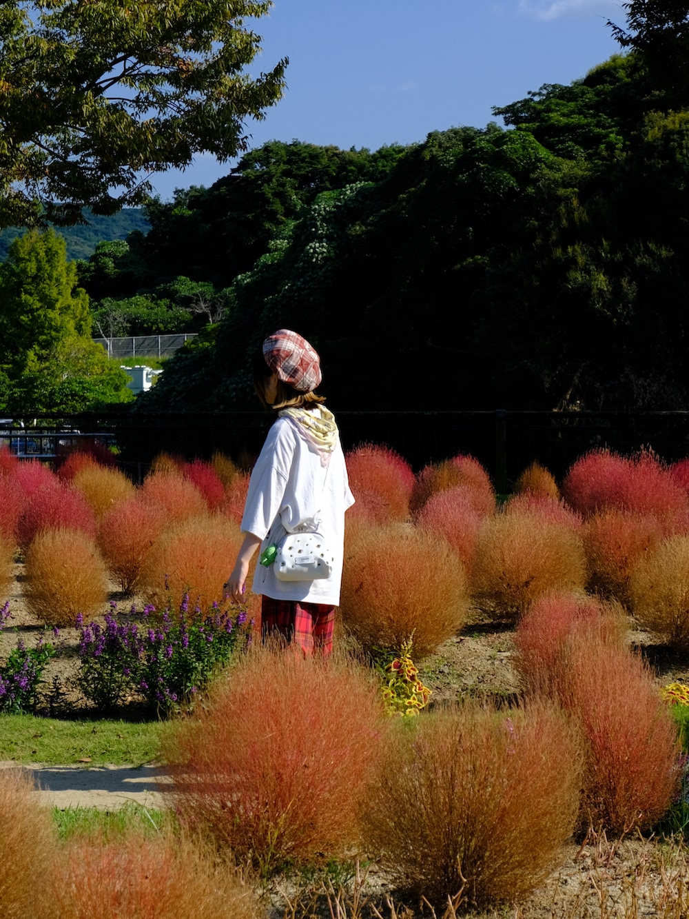 ホワイト系のTシャツ/カットソー、レッド系のその他パンツ、ホワイト系のショルダーバッグを着用したレディースの秋コーディネートの2枚目の写真