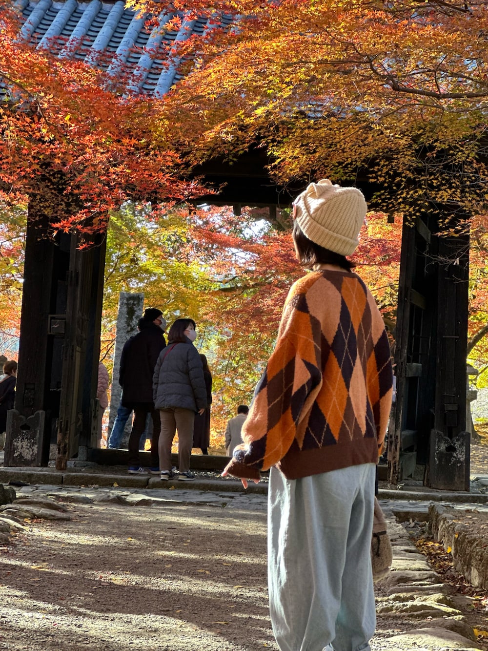 ブラウン系のショルダーバッグ、オレンジ系のカーディガン/ボレロ、ブルー系のデニムパンツを着用したレディースの秋コーディネートの2枚目の写真