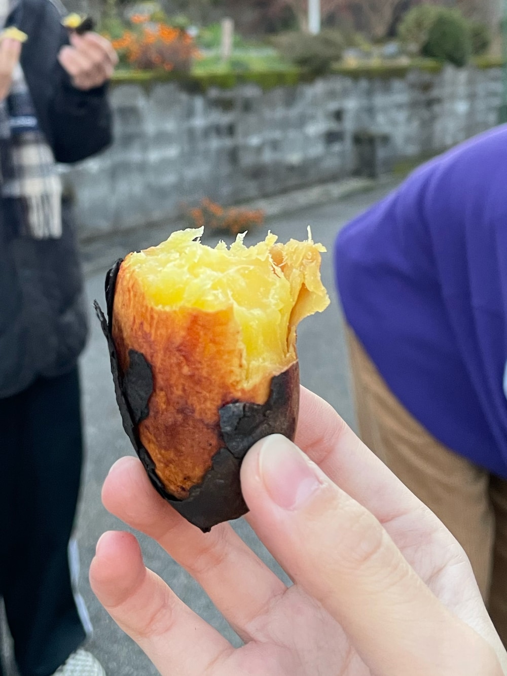 パープル系のスウェット、イエロー系のスウェット、ベージュ系のその他パンツを着用したレディースの冬コーディネートの2枚目の写真