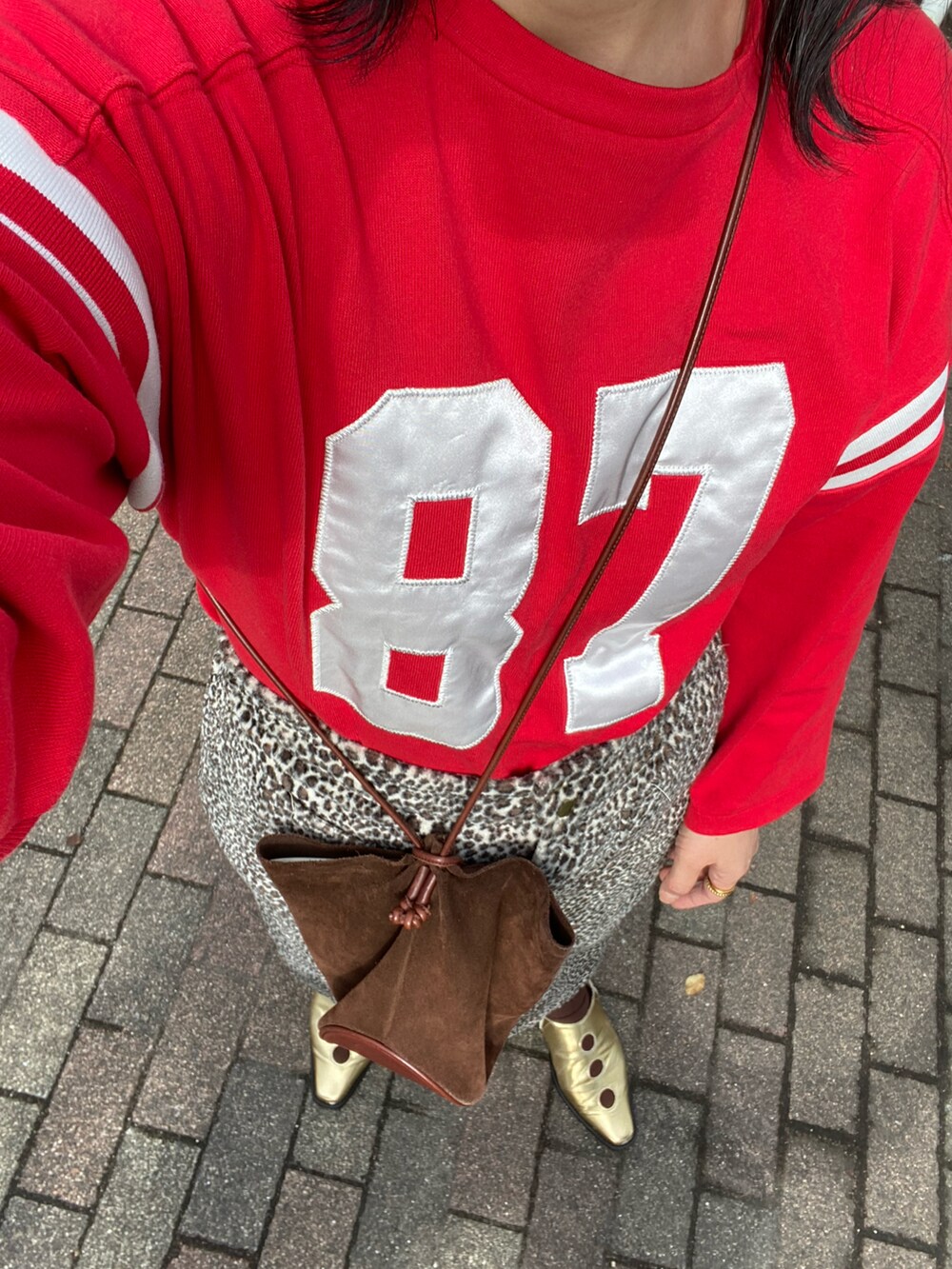 レッド系のTシャツ/カットソー、ベージュ系のスカート、ブラウン系のショルダーバッグを着用したレディースの秋コーディネートの2枚目の写真