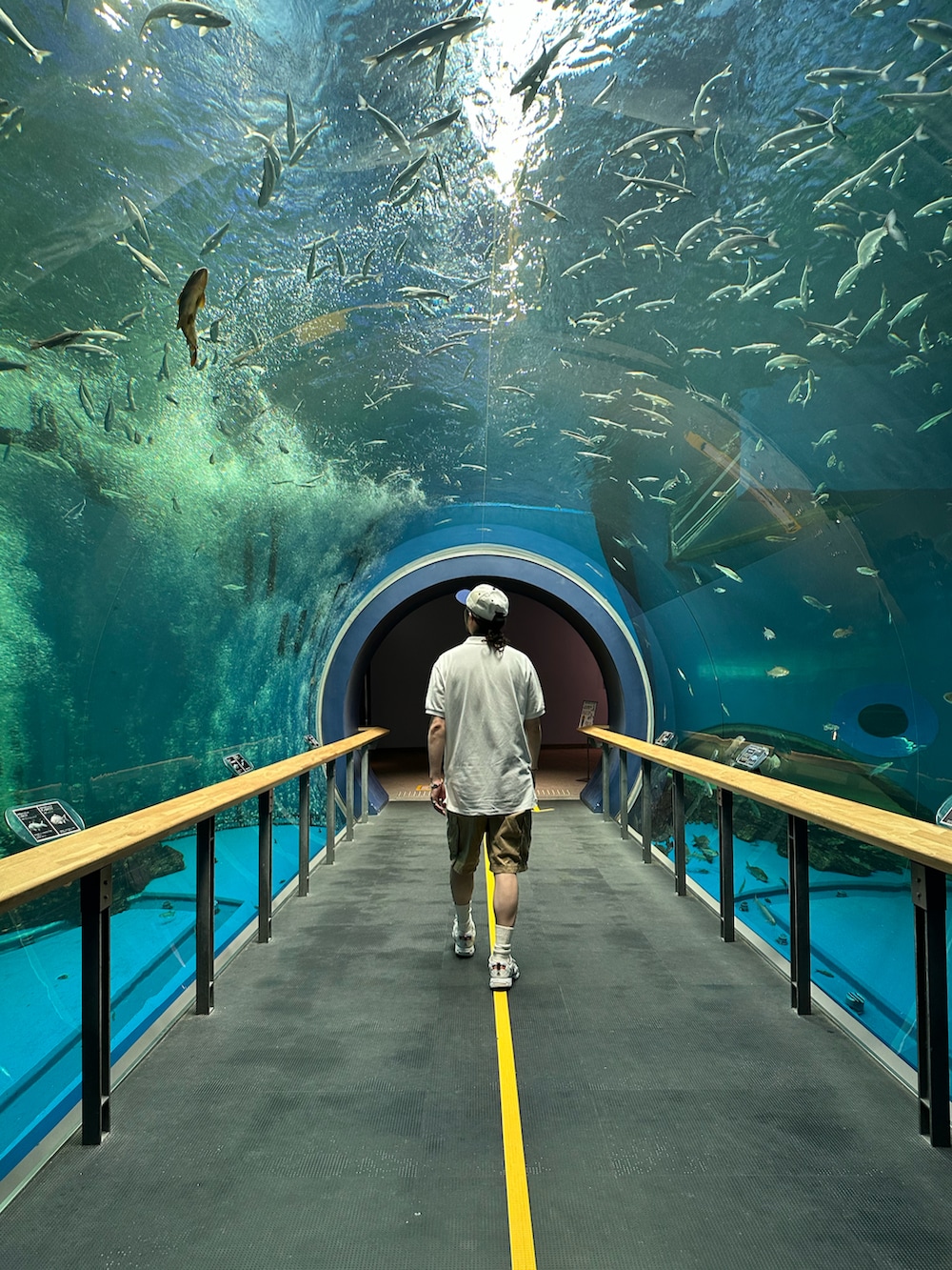 ホワイト系のポロシャツ、ブラウン系のカーゴパンツ、ホワイト系のスニーカーを着用したメンズの夏コーディネートの2枚目の写真