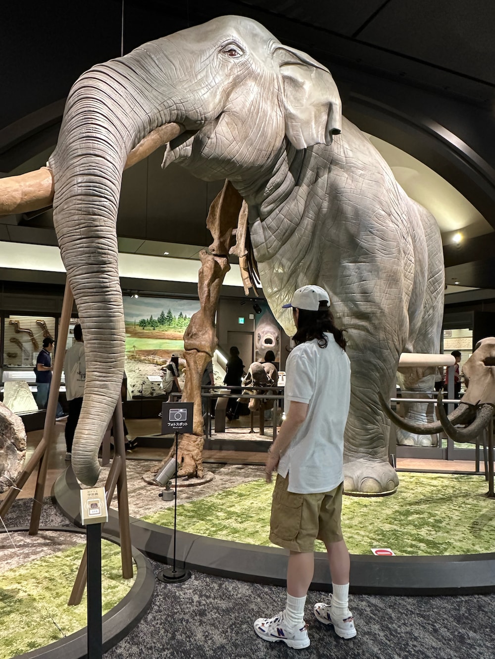 ホワイト系のポロシャツ、ブラウン系のカーゴパンツ、ホワイト系のスニーカーを着用したメンズの夏コーディネートの4枚目の写真