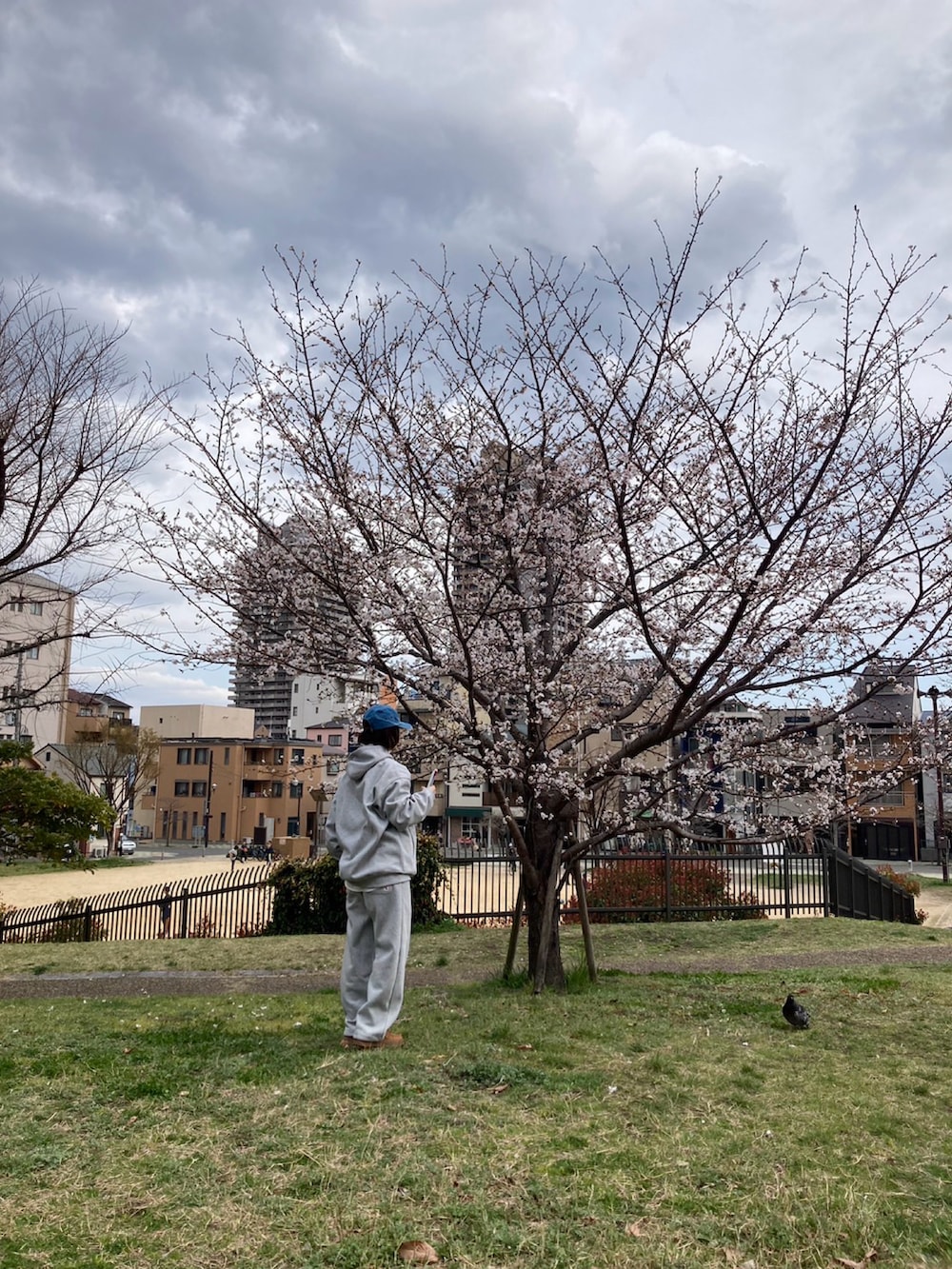 ブルー系のMA-1、グレー系のパーカー、グレー系のスウェットパンツを着用したレディースの春コーディネートの2枚目の写真