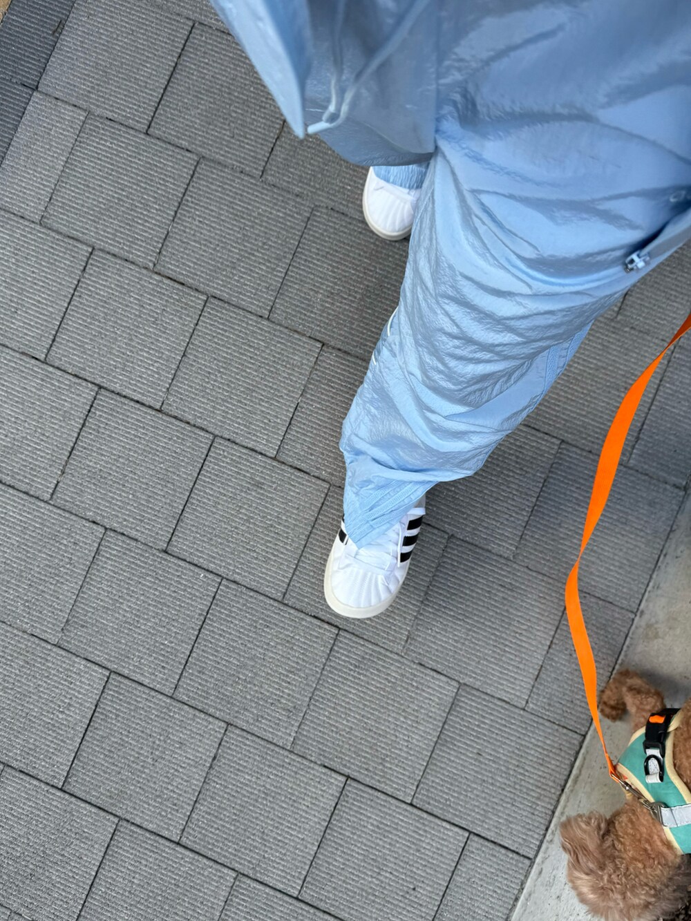 「秋っぽコーデ更新中」｜「adidasのエッセンシャルズ リブ Tシャツ  / クロップド T シャツ / アディダスオリジナルス adidas Originals（Tシャツ/カットソー、ホワイト系）」を使った、ぽぽぬなさん（レディース・167cm）の秋コーディネートの2枚目の写真