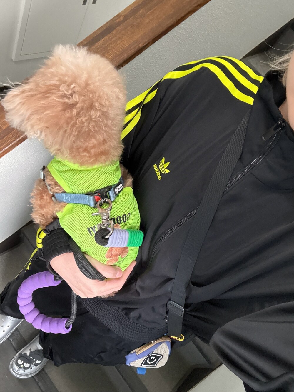 ブラック系のトップス、ブラック系のスウェットパンツ、その他のサンダルを着用したレディースの秋コーディネートの2枚目の写真