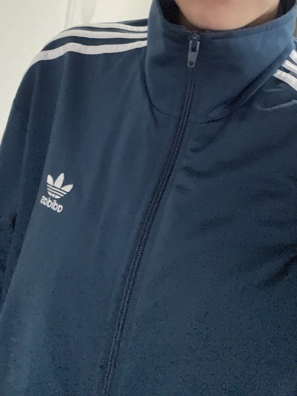 ブルー系のシャツ/ブラウス、グレー系のTシャツ/カットソー、ブルー系のジャージを着用したレディースの冬コーディネートの3枚目の写真