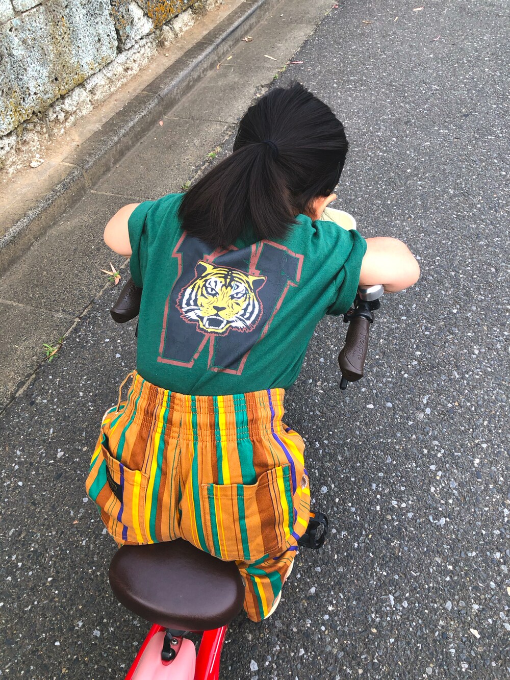 「公園スタイル、公園コーデ、カラフルパンツ、タイガー、虎、カンフーパンダ」｜「devirockのアイテム（Tシャツ/カットソー、グリーン系）」を使った、kikkingumさん（キッズ・100cm）の夏コーディネートの2枚目の写真