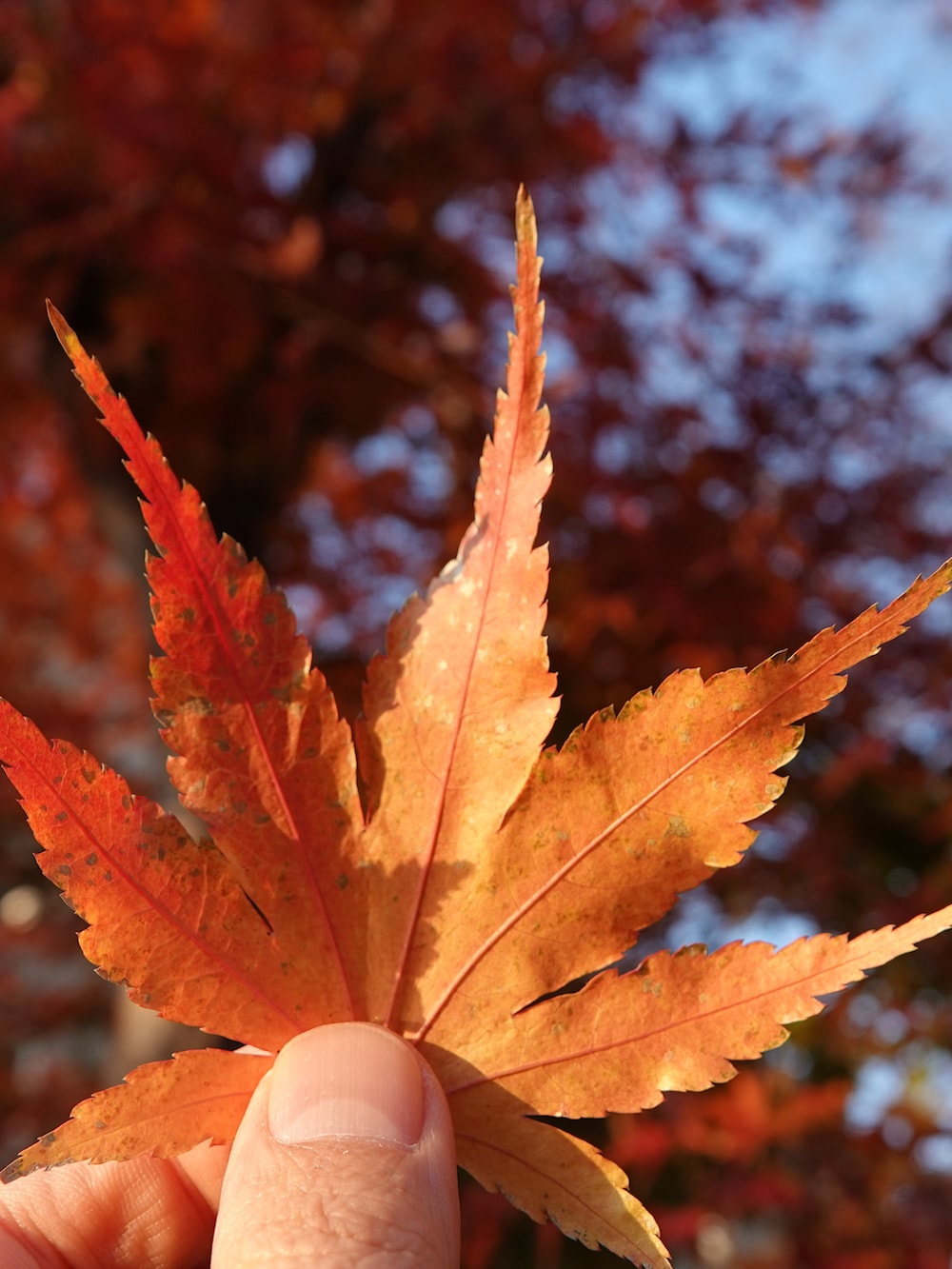 ブラウン系のステンカラーコート、グレー系のスラックス、ブラック系のローファーを着用したメンズの冬コーディネートの3枚目の写真