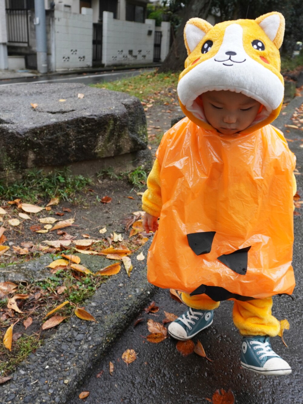 「wearhalloween2021、キッズコーデ、ハロウィン、ハロウィンコーデ、仮装、こどもコーデ、コスプレ、男の子、1歳、80cm、柴犬、柴犬コーデ、赤柴、柴犬大好き、柴犬がいるおうち」｜「CONVERSEのアイテム（スニーカー、グリーン系）」を使った、tao2020さん（キッズ・80cm）の秋コーディネートの3枚目の写真