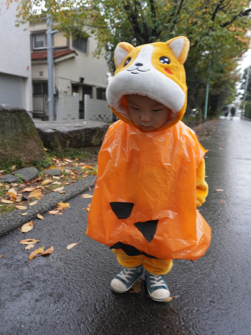 「wearhalloween2021、キッズコーデ、ハロウィン、ハロウィンコーデ、仮装、こどもコーデ、コスプレ、男の子、1歳、80cm、柴犬、柴犬コーデ、赤柴、柴犬大好き、柴犬がいるおうち」｜「CONVERSEのアイテム（スニーカー、グリーン系）」を使った、tao2020さん（キッズ・80cm）の秋コーディネートの2枚目の写真