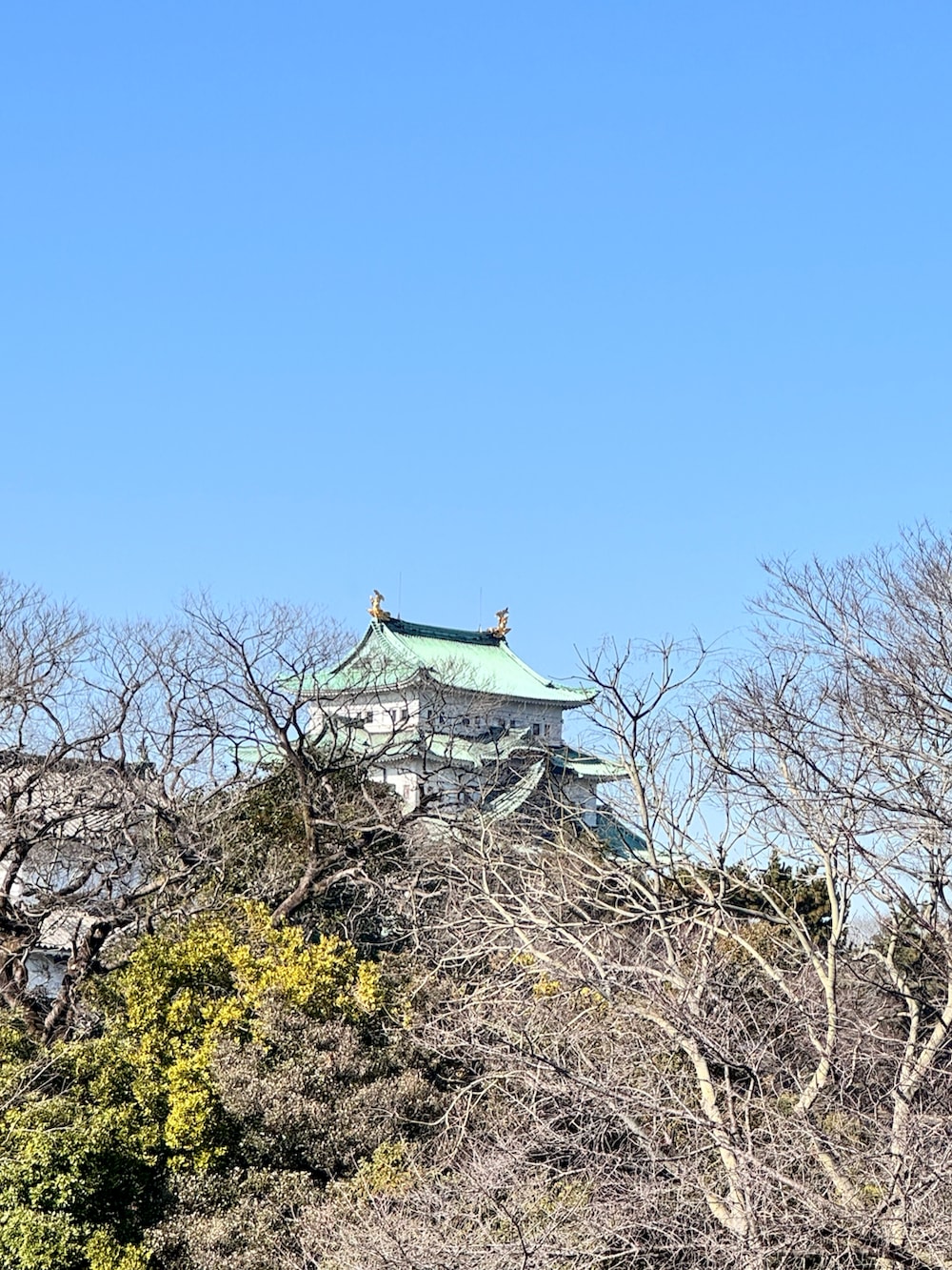 グレー系のスウェット、ブルー系のシャツ/ブラウス、ブラック系のデニムパンツを着用したキッズの冬コーディネートの3枚目の写真