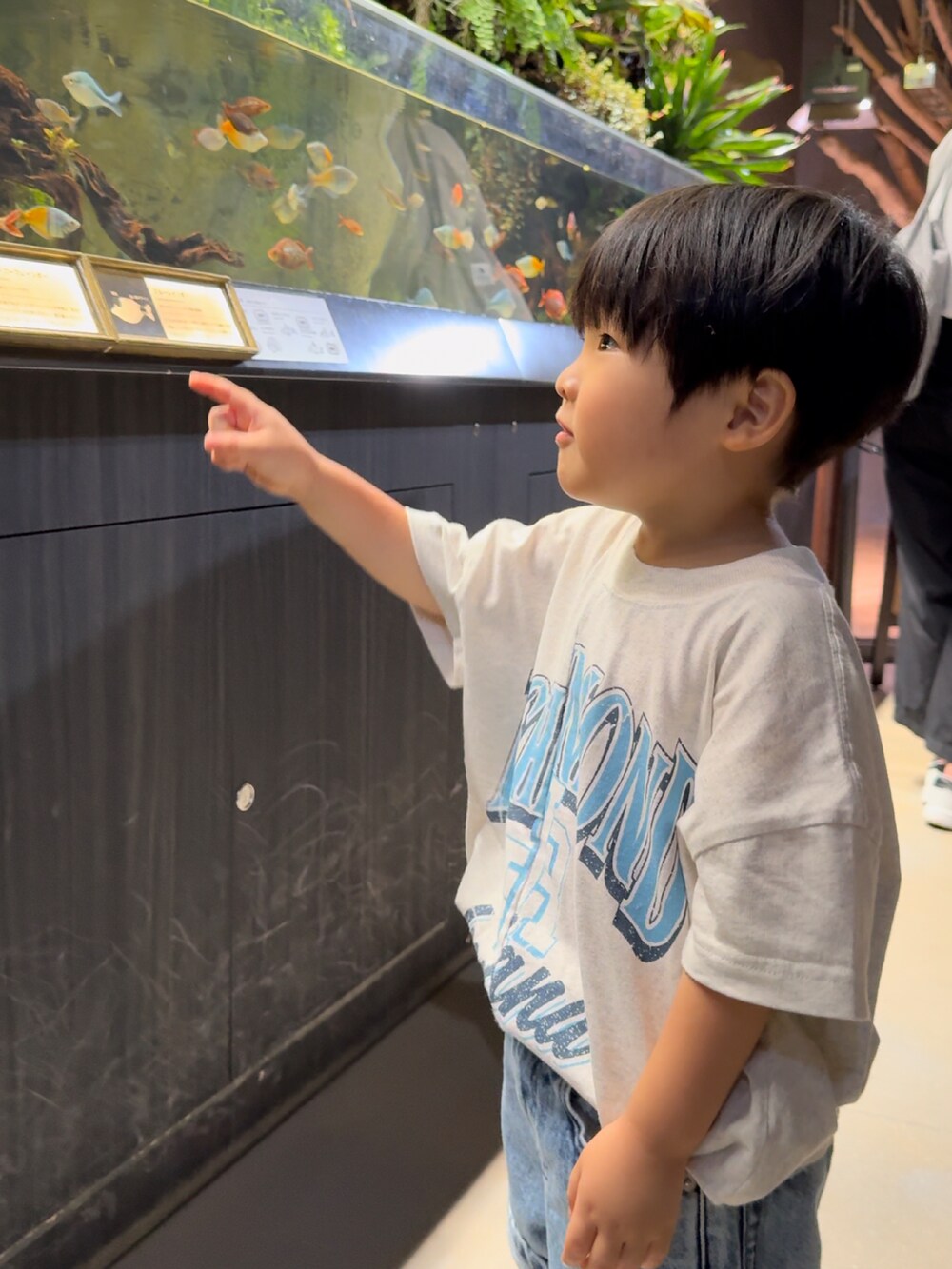 ホワイト系のTシャツ/カットソー、ブルー系のデニムパンツ、その他のスニーカーを着用したキッズの夏コーディネートの5枚目の写真