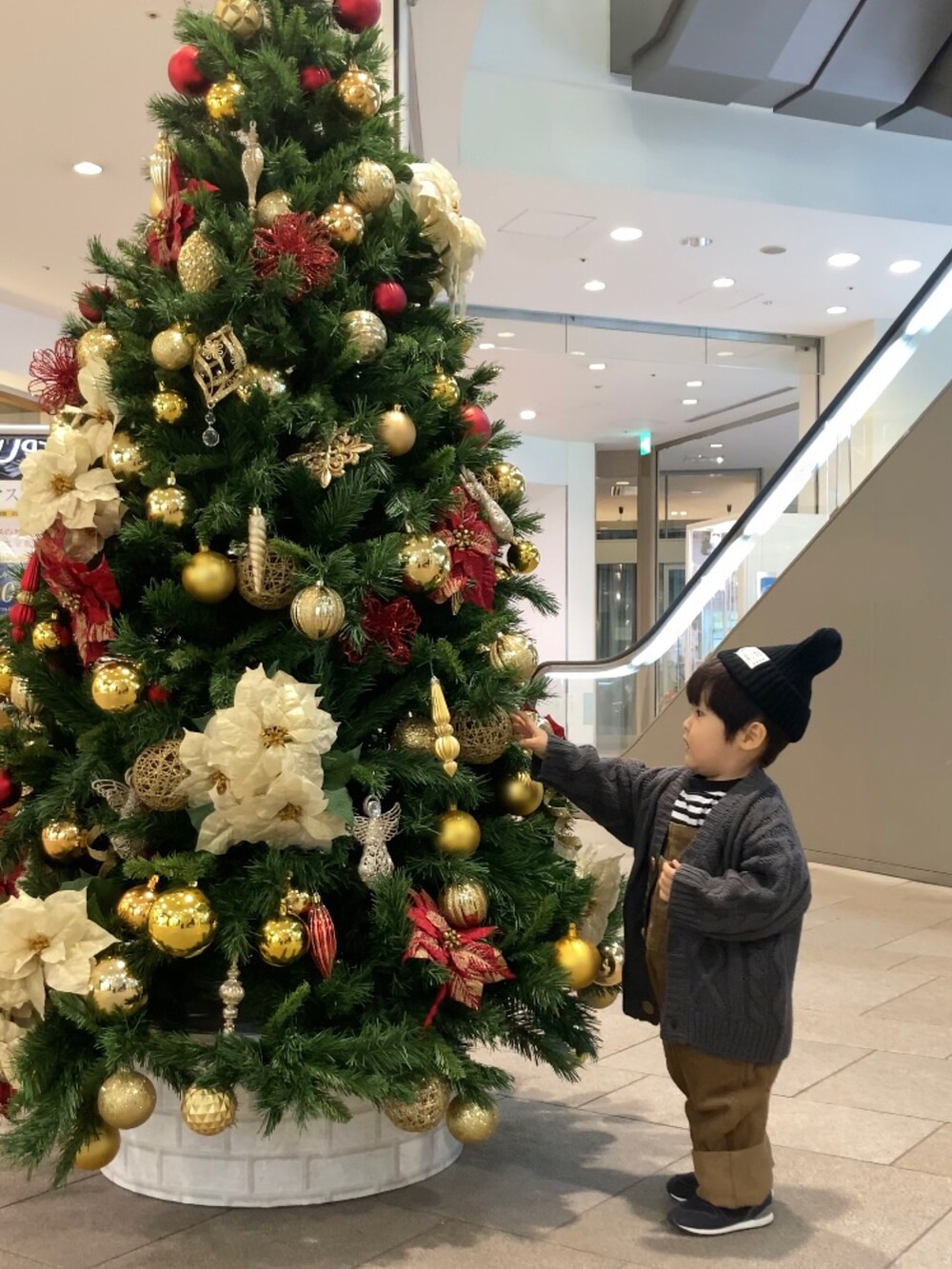 グレー系のカーディガン/ボレロ、ブラック系のTシャツ/カットソー、ブラウン系のサロペット/オーバーオールを着用したキッズの秋コーディネートの2枚目の写真