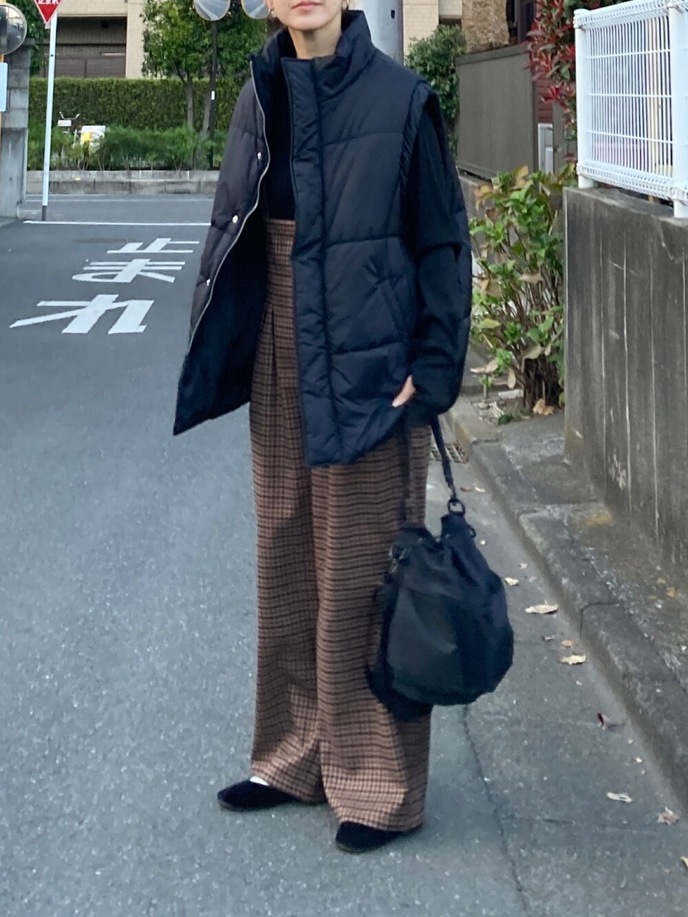 ブラック系のダウンベスト、ブラック系のTシャツ/カットソー、ブラック系のショルダーバッグを着用したレディースの秋コーディネートの2枚目の写真