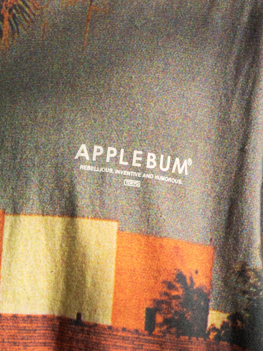 その他のTシャツ/カットソー、グレー系のキャップを着用したメンズの秋コーディネートの2枚目の写真