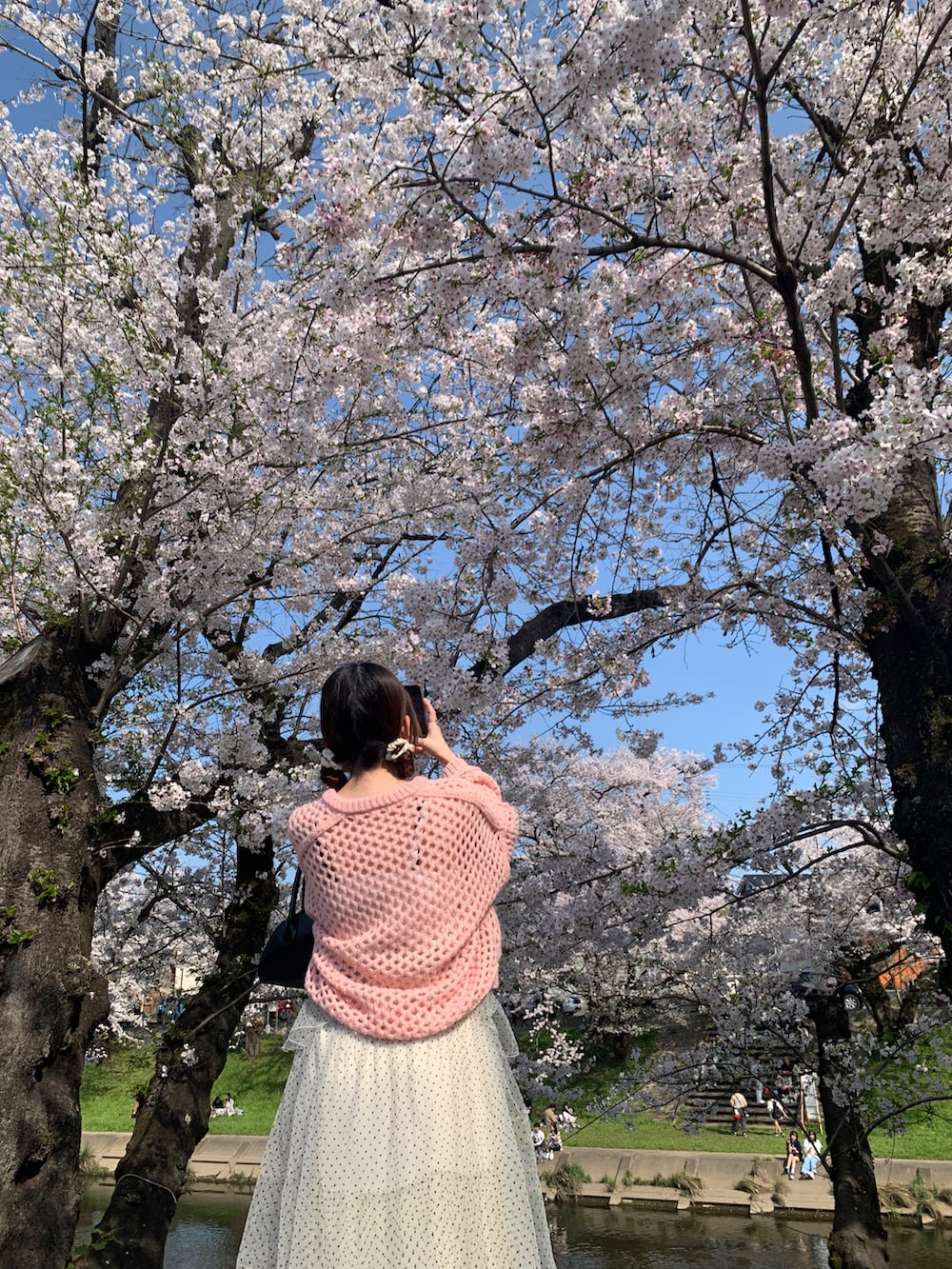 「春カラー、春、大人ガーリー、お洒落さんとつながりたい、お出かけ、低身長女子、プチプラ、休日スタイル、おでかけコーデ、春服みてみて、春服コーデ、お花見コーデ、カフェ、ピンクコーデ、いいね、save、フォローお願いします🤑」｜「GRLのアイテム（トップス、ピンク系）」を使った、🈂️さん（レディース・151cm）の春コーディネートの2枚目の写真