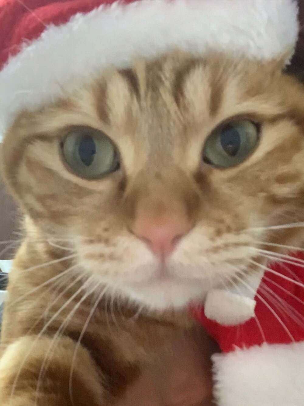 グリーン系のカーディガン/ボレロ、ベージュ系のスカート、ホワイト系のブーツを着用したレディースの冬コーディネートの4枚目の写真