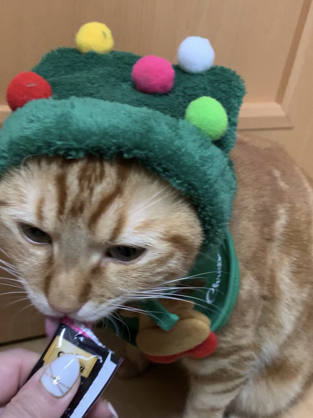 グリーン系のカーディガン/ボレロ、ベージュ系のスカート、ホワイト系のブーツを着用したレディースの冬コーディネートの5枚目の写真