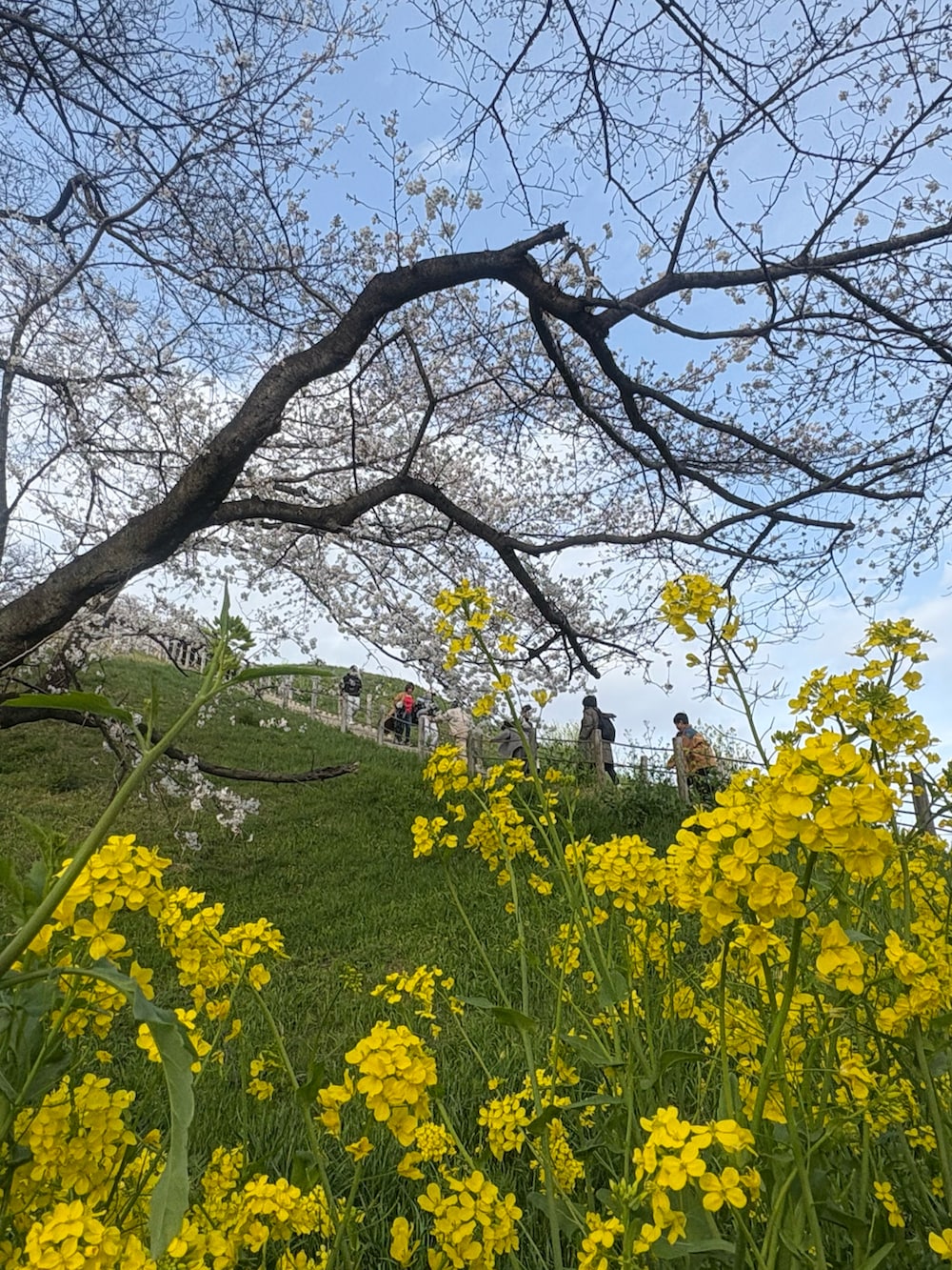 ホワイト系のシャツ/ブラウス、ホワイト系のジャケット/アウター、グリーン系のスカートを着用したレディースの春コーディネートの3枚目の写真