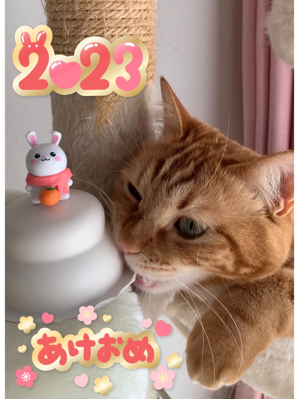 ホワイト系のペットウェアを着用したレディースの冬コーディネートの2枚目の写真