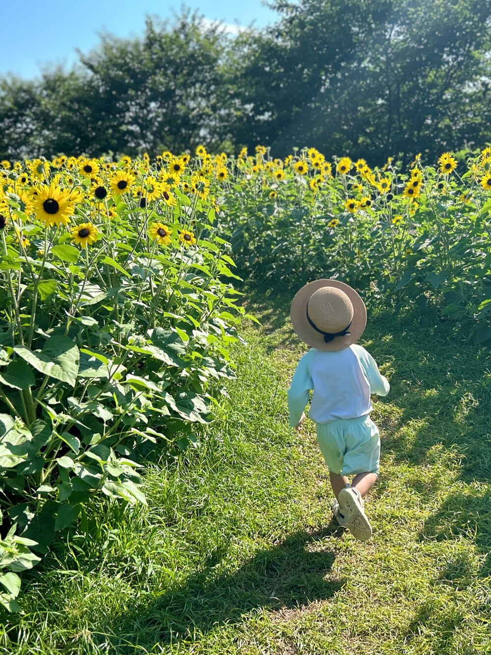 ベージュ系の帽子、グリーン系のラッシュガードを着用したキッズの夏コーディネートの2枚目の写真