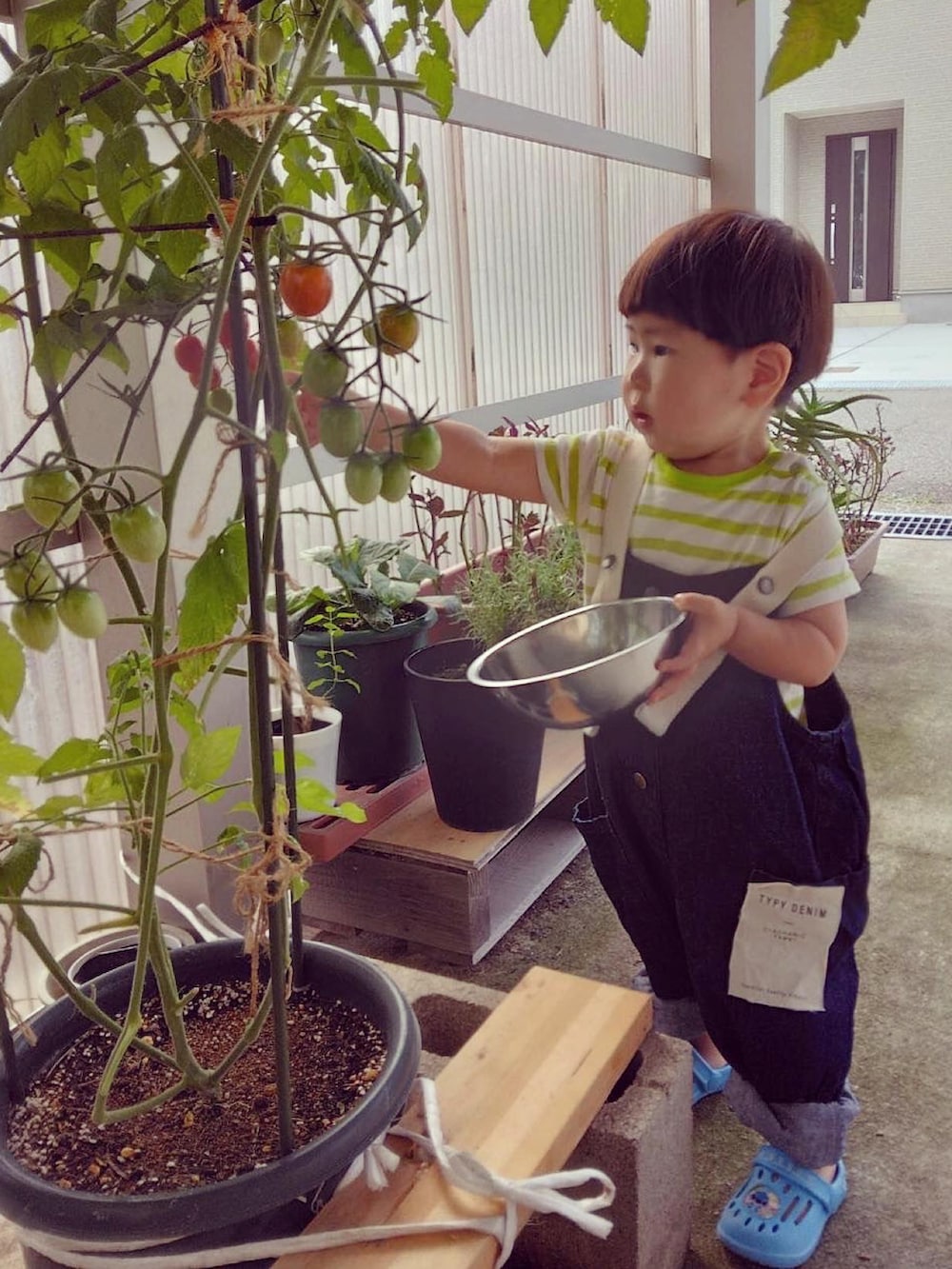 グリーン系のTシャツ/カットソー、ブルー系のサロペット/オーバーオール、その他のその他を着用したキッズの夏コーディネートの3枚目の写真