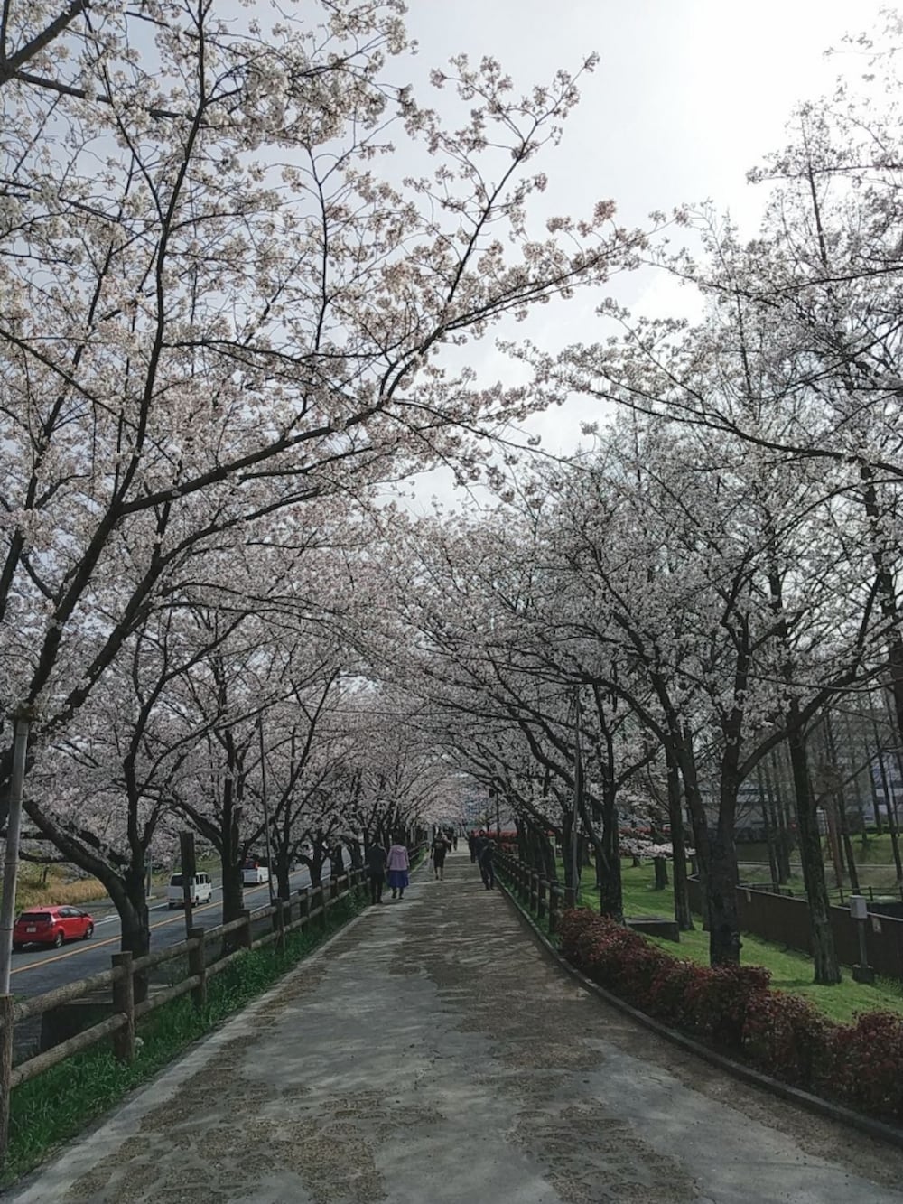 グリーン系のパーカー、ホワイト系のスニーカーを着用したレディースの春コーディネートの2枚目の写真